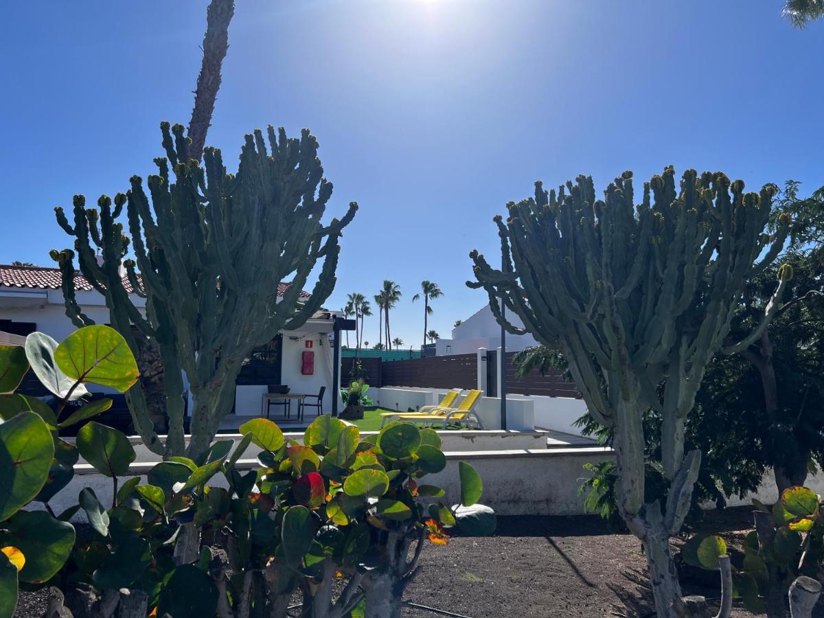 Escarabajo Bungalow Il Maggiolino 马斯帕洛马斯 外观 照片